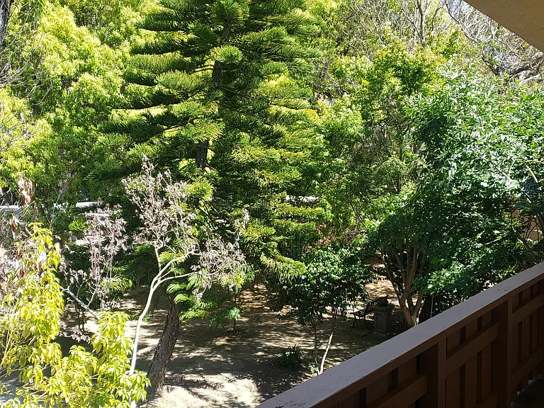 Stanford Garden Apartments — Photo 28