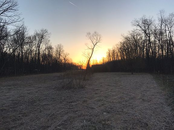 Field ready for food plot