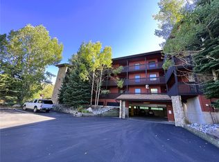 670 S 7th Ave APT 339, Frisco, CO 80443