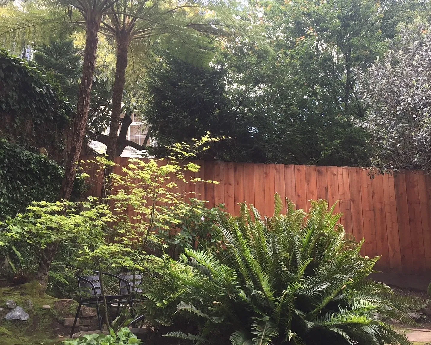 Near Alamo Square Park - 1 bedroom plus extra room - split bathroom - Shared yard and shared coin... — Photo 1