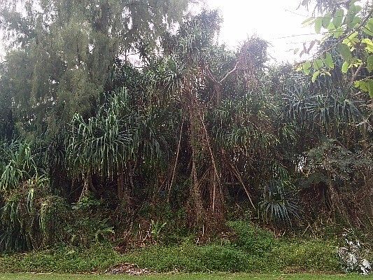 1st image of Puni Lapa St E Lot 1936