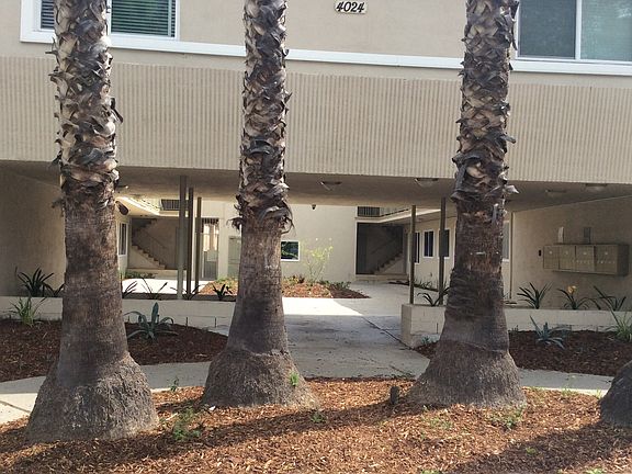 2nd image of 4024 Ursula Ave APT 7