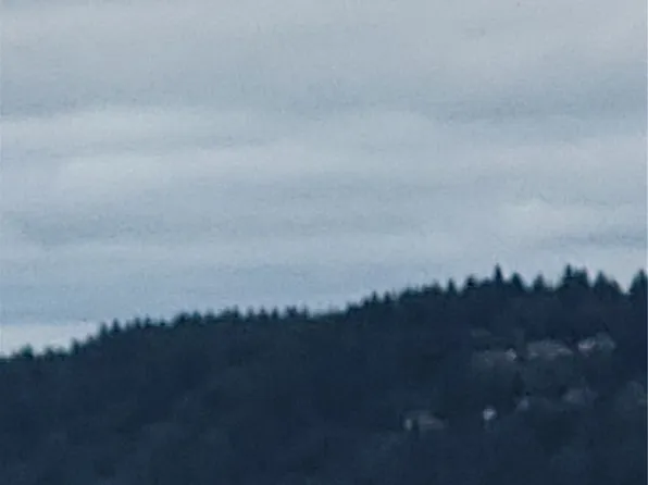 11714 Mill Place, Anderson Island, WA 98303