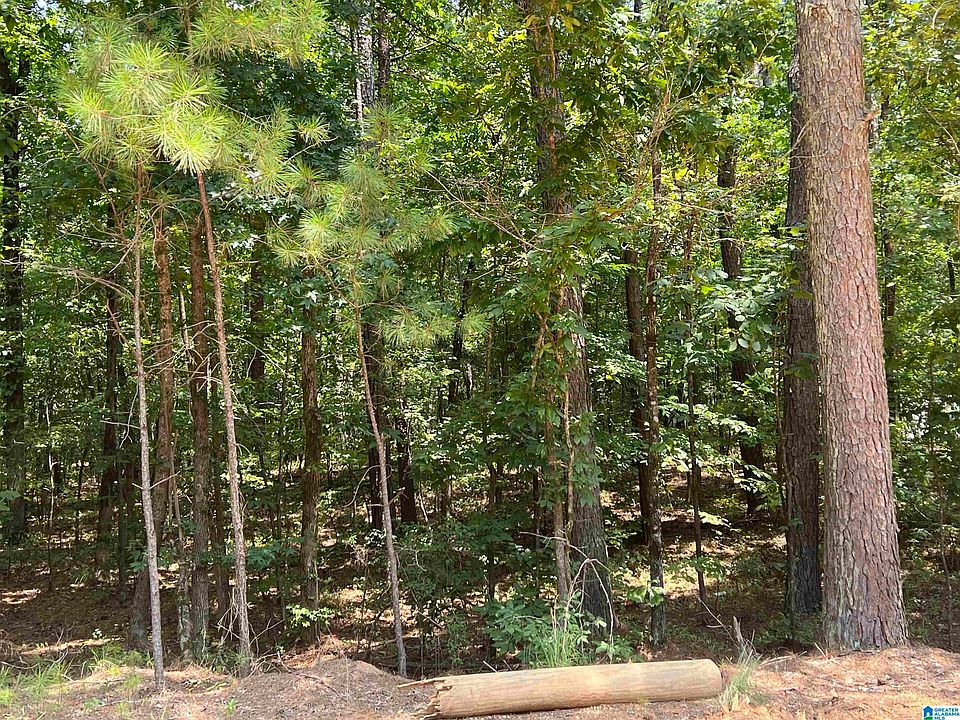 2nd image of LOT 23 Ann Marie Dr Lot 23