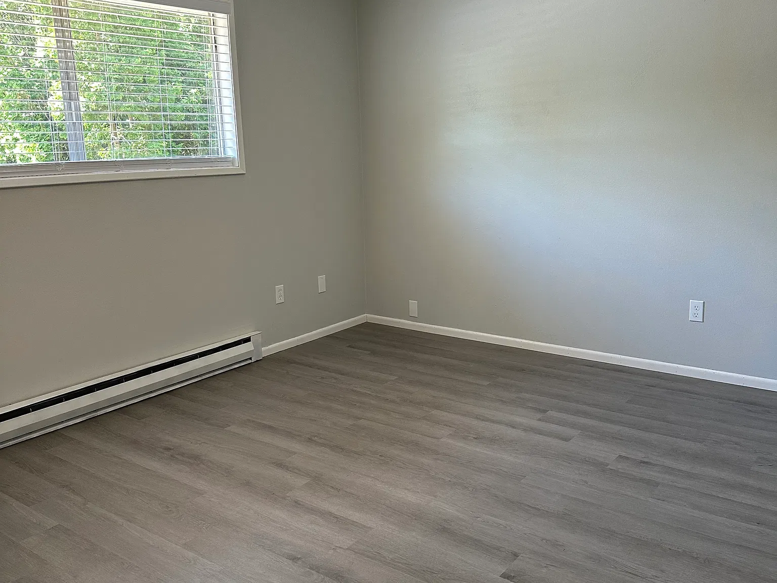 1 bed, 780 sqft, $1,295 — Photo 3