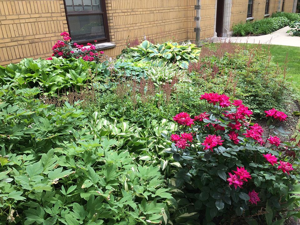 1st image of 3423 W Drummond Pl APT 2B