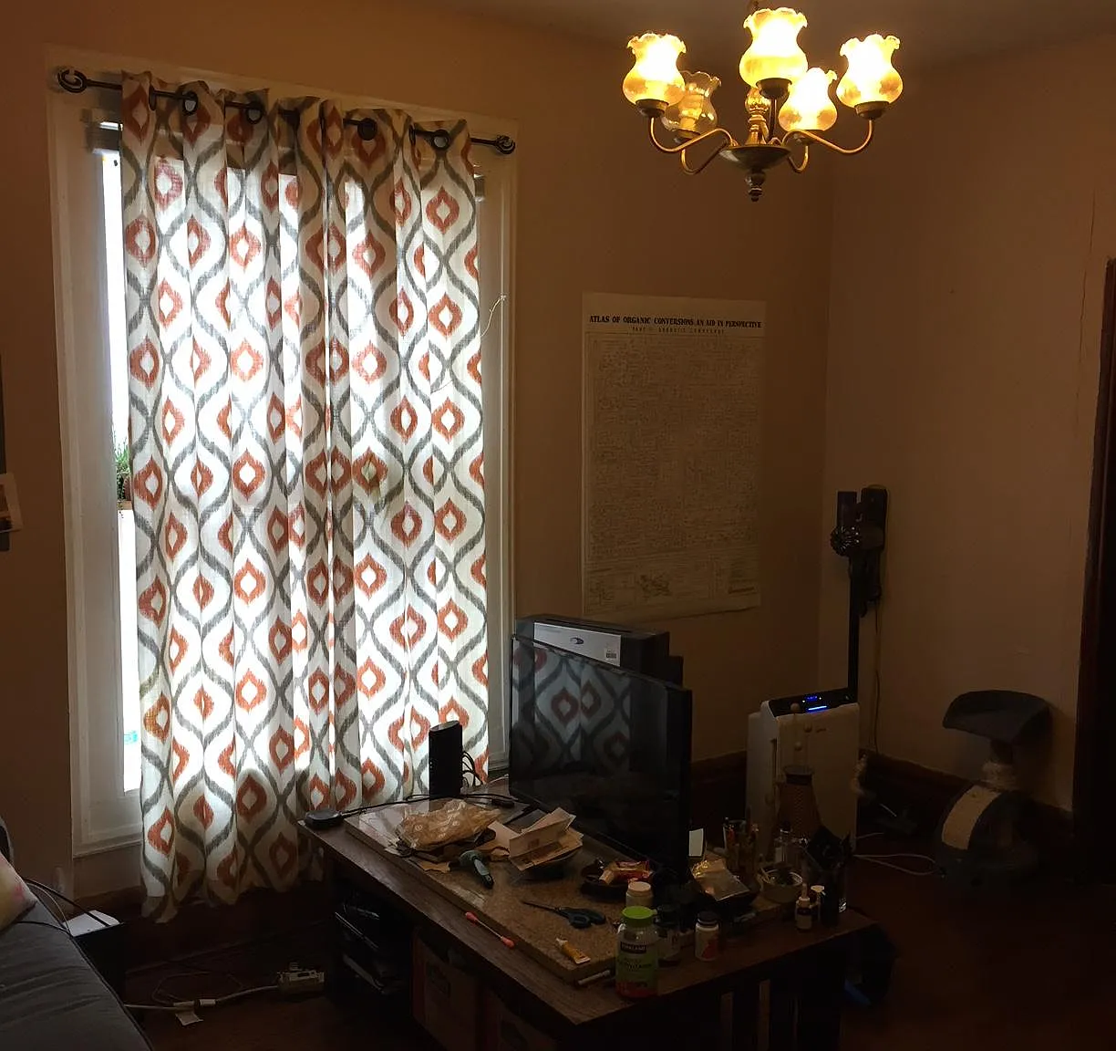 1 bed, 600 sqft, $850 — Photo 2