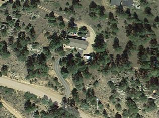 295 Buckskin Trl, Bailey, CO 80421