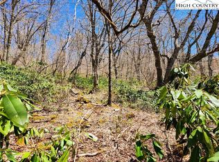 148 Derby Ln, Banner Elk, NC 28604