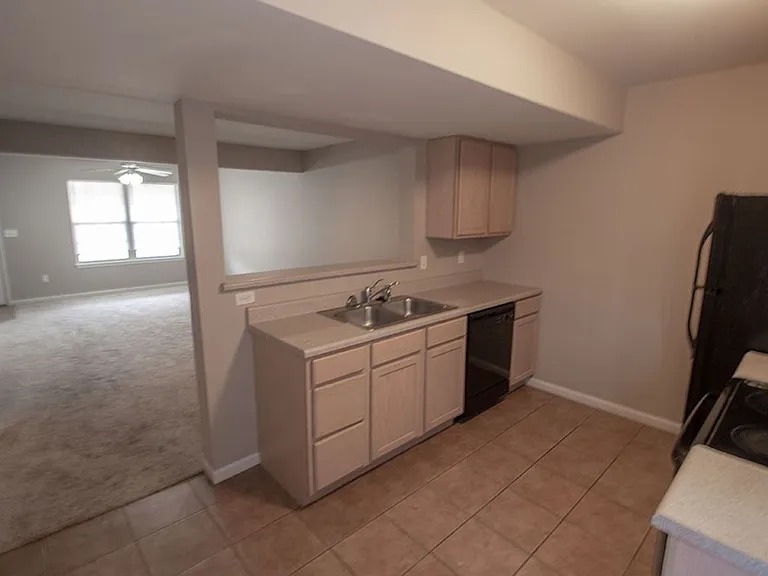 4014 Snowy Owl Dr — Photo 8