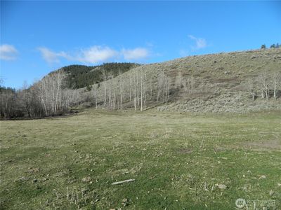 111 TBD Ellemeham Mountain Ridge Road, Tonasket, WA, 98855