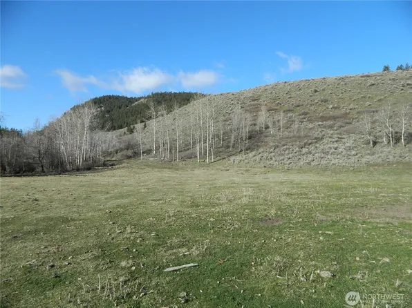 111 TBD Ellemeham Mountain Ridge Road, Tonasket, WA 98855