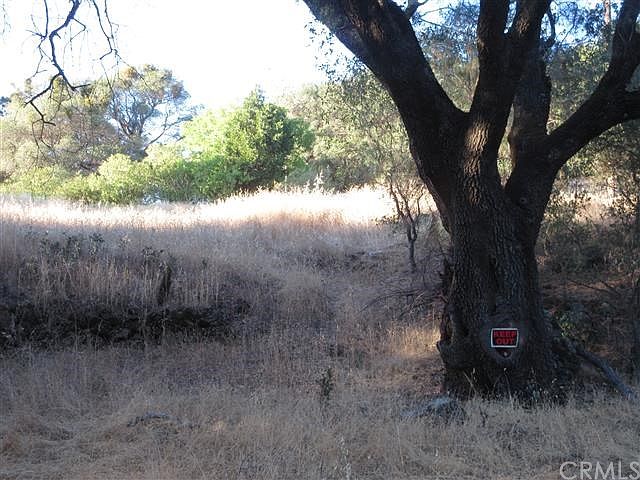 2nd image of 4394 Cherokee Rd