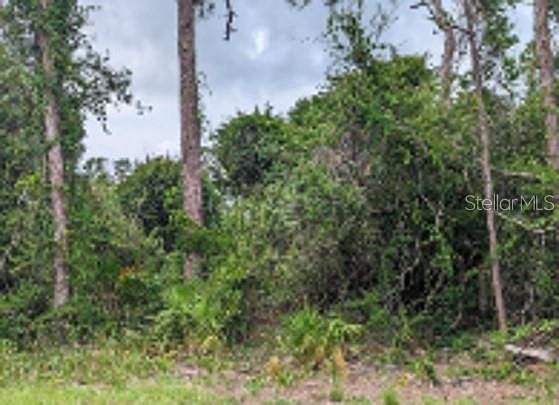 1st image of Lavender Avenue Lot #41