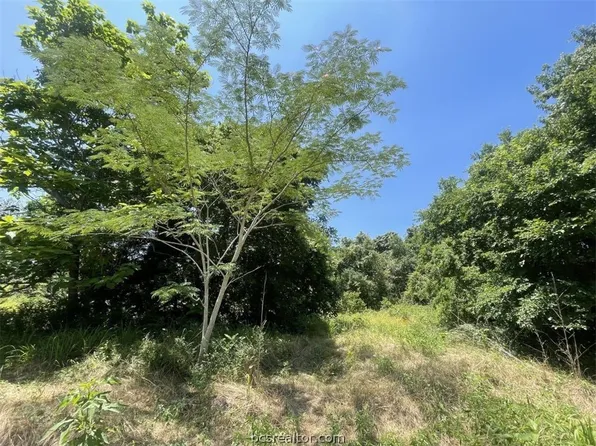Tbd2 Cherry Dr, Caldwell, TX 77836