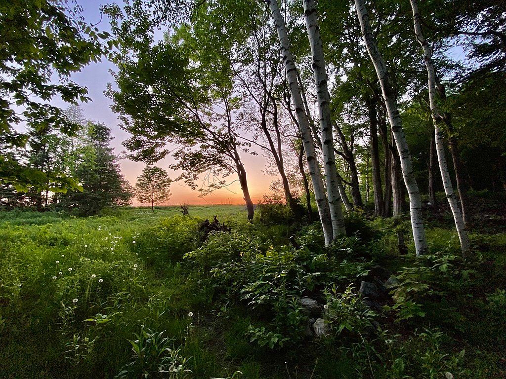 0 Old Stage Rd, Ashfield, MA 01330 | Zillow