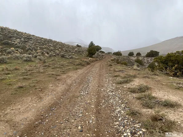 0 Near Coyote Cyn, Imlay, NV 89418