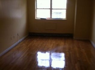 231 Rochester Ave, Brooklyn, NY 11213