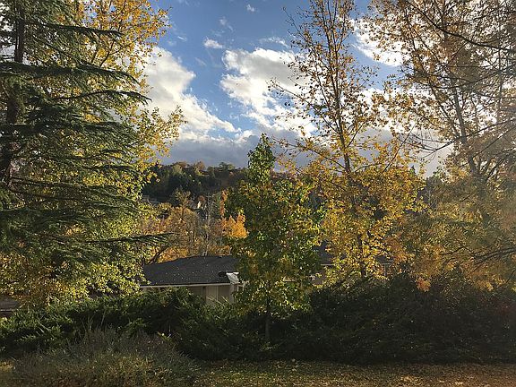 View from front of house