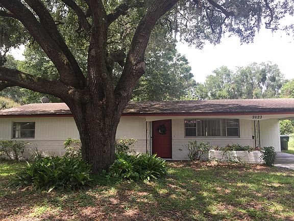 Live oak shades front yard