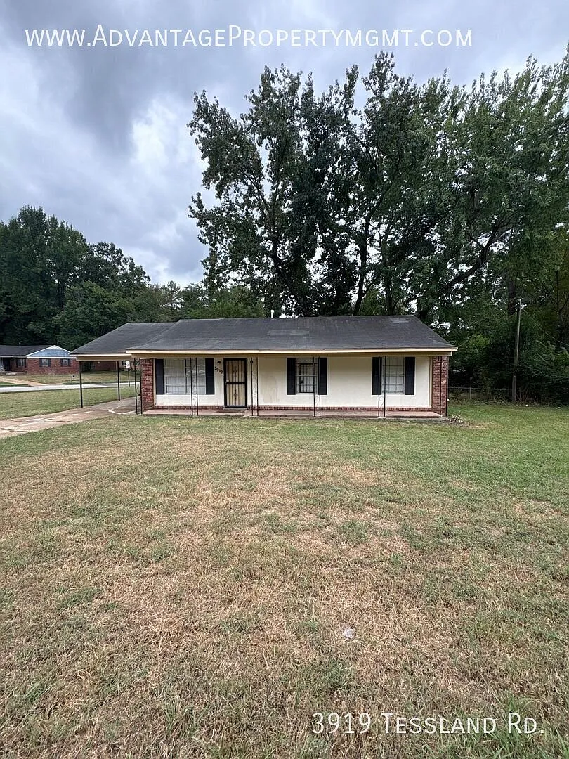 3919 Tessland Rd. Memphis, TN 38128 — Photo 2