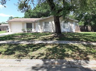 2220 Selkirk St, Valrico, FL 33594