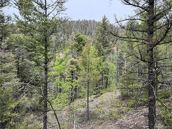 5th image of Lot 6795 Starkweather Road LOT 6795