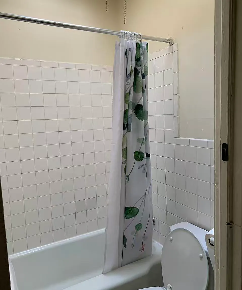 1 bed, 500 sqft, $1,080 — Photo 4