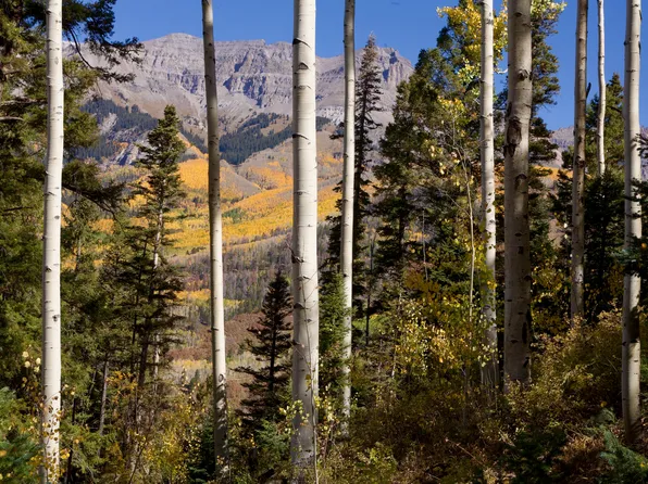 172 Country Club Dr Lot 116, Telluride, CO 81435