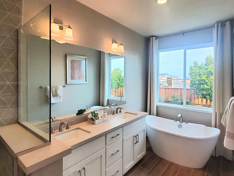 Master bathroom tub and shower