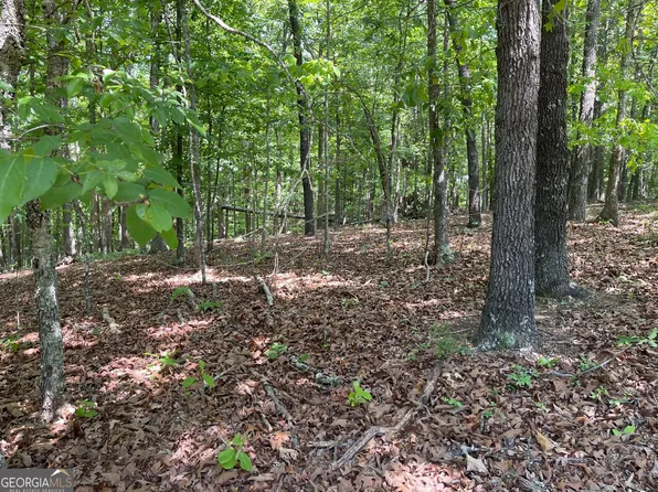 LOT 2& #3, Cave Spring, GA 30124