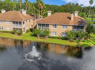 4263 Preserve Pl, Palm Harbor, FL 34685