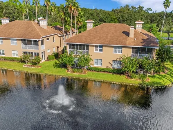 4263 Preserve Pl, Palm Harbor, FL 34685