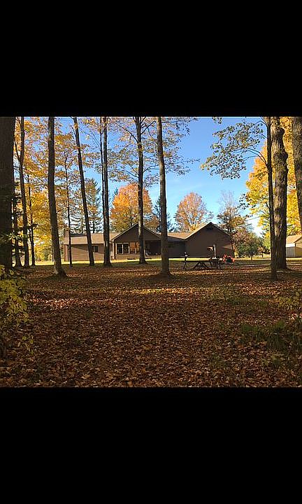 View from backyard 