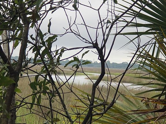 5th image of 13825 Fiddlers Point Dr