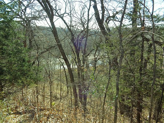 19.29 Ac woods/river