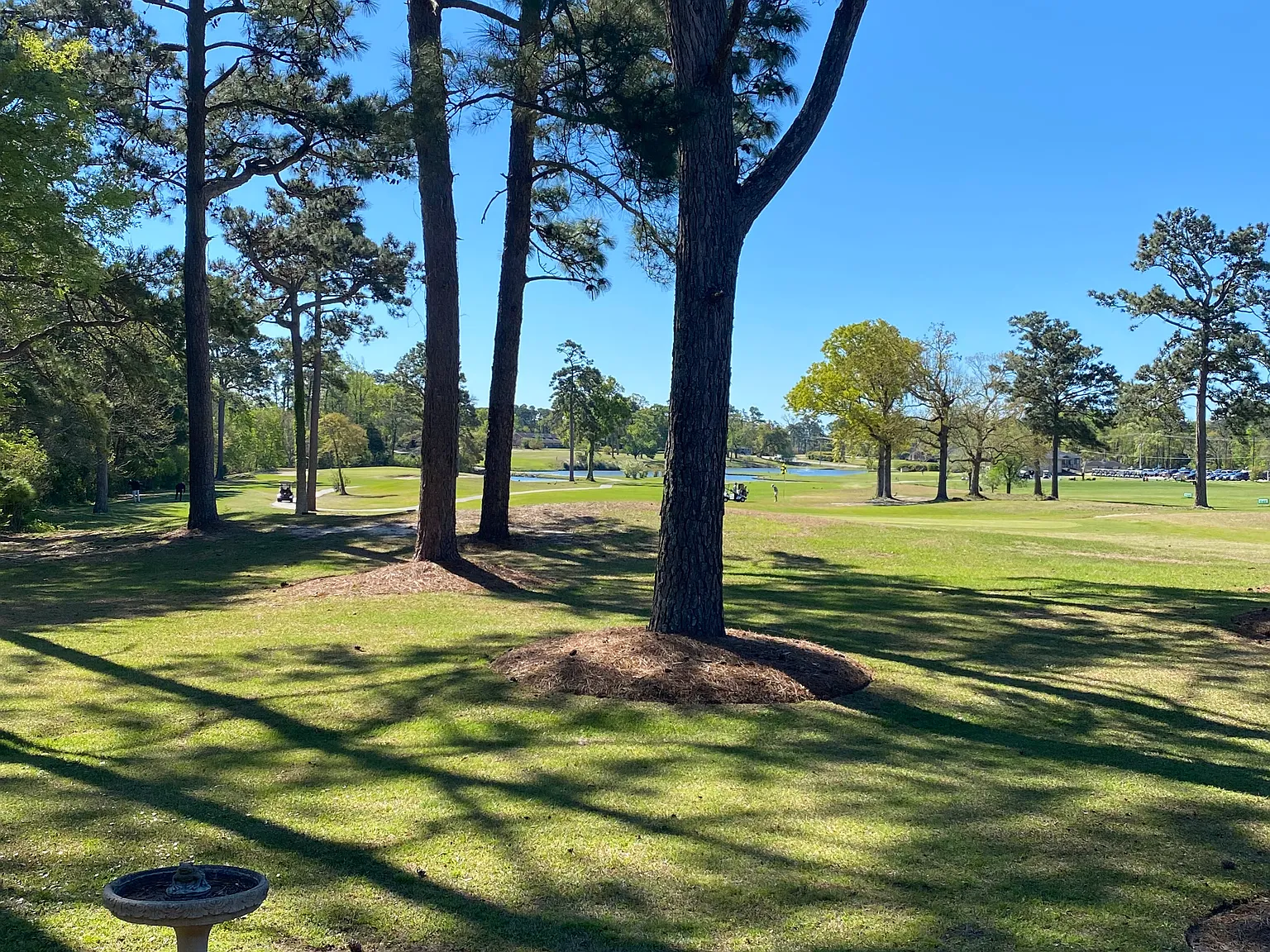 2 bed, 1700 sqft, $2,800 — Photo 3