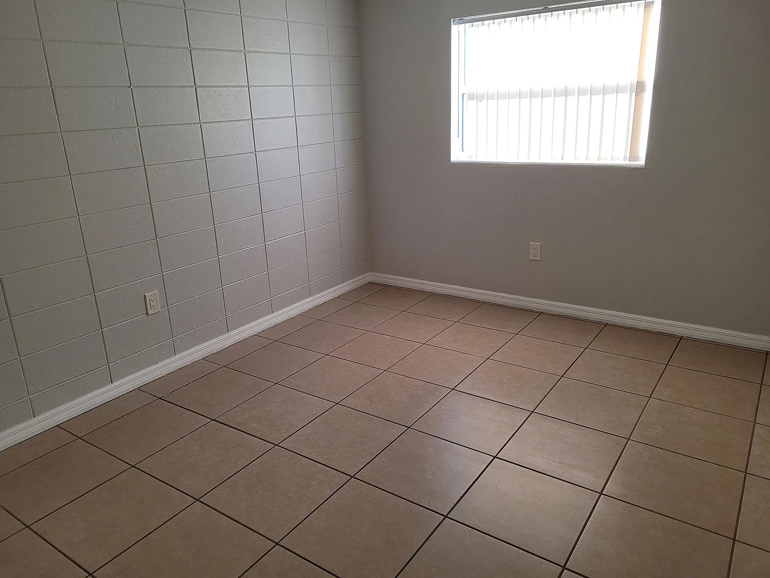 130 Bouganvillea - 3 — Photo 4