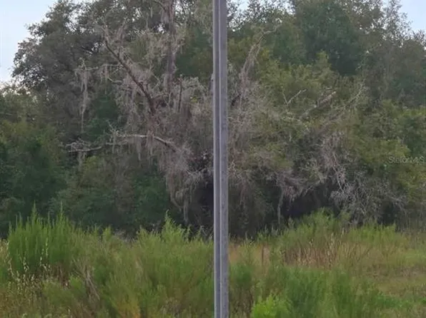 S San Angelo Pkwy Lot 265, Dunnellon, FL 34432