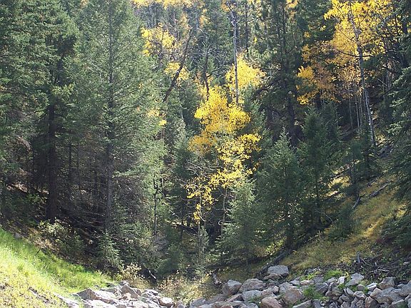 4th image of 15066 Wilson Peak Trl