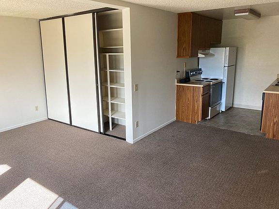 Living room storage and kitchen