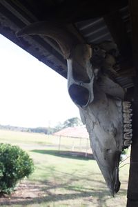 5009 County Road 2053, Newton, TX, 75966