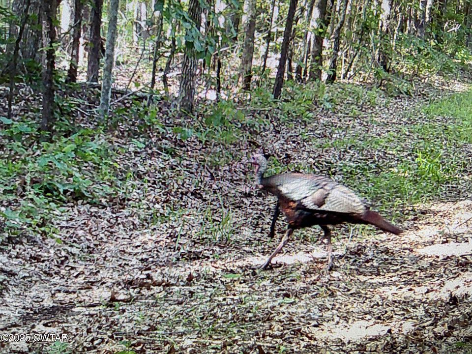 2nd image of 0 Bowman Rd