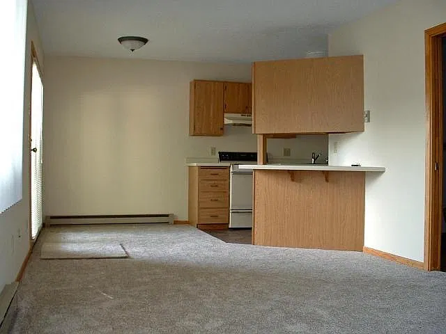 Living-dining-kitchen