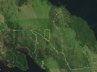 Dow Farm Rd, Island Falls, ME 04747