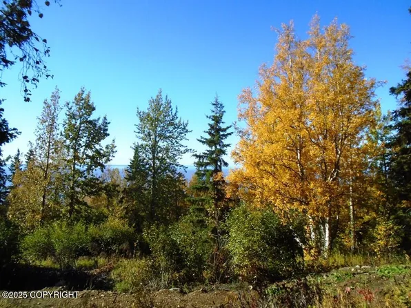 LOT 2 Greece Dr, Anchorage, AK 99516