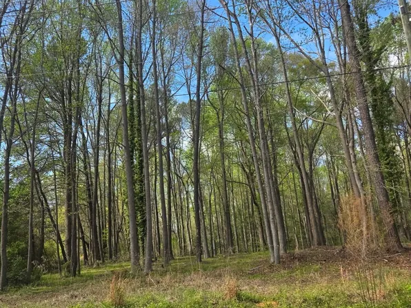 5721 Us Highway 301 N Lot 6, Selma, NC 27576