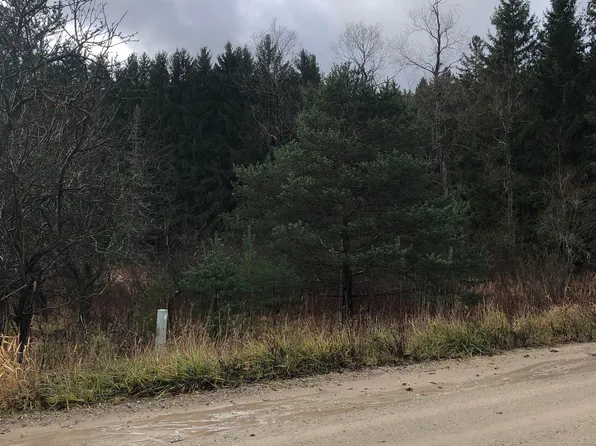 E 12 1/2 Rd, Manton, MI 49663