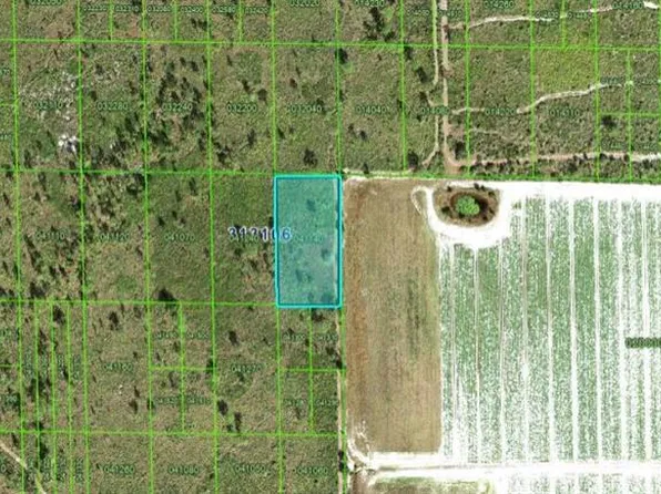 Grape Hammock Rd, Lake Wales, FL 33898