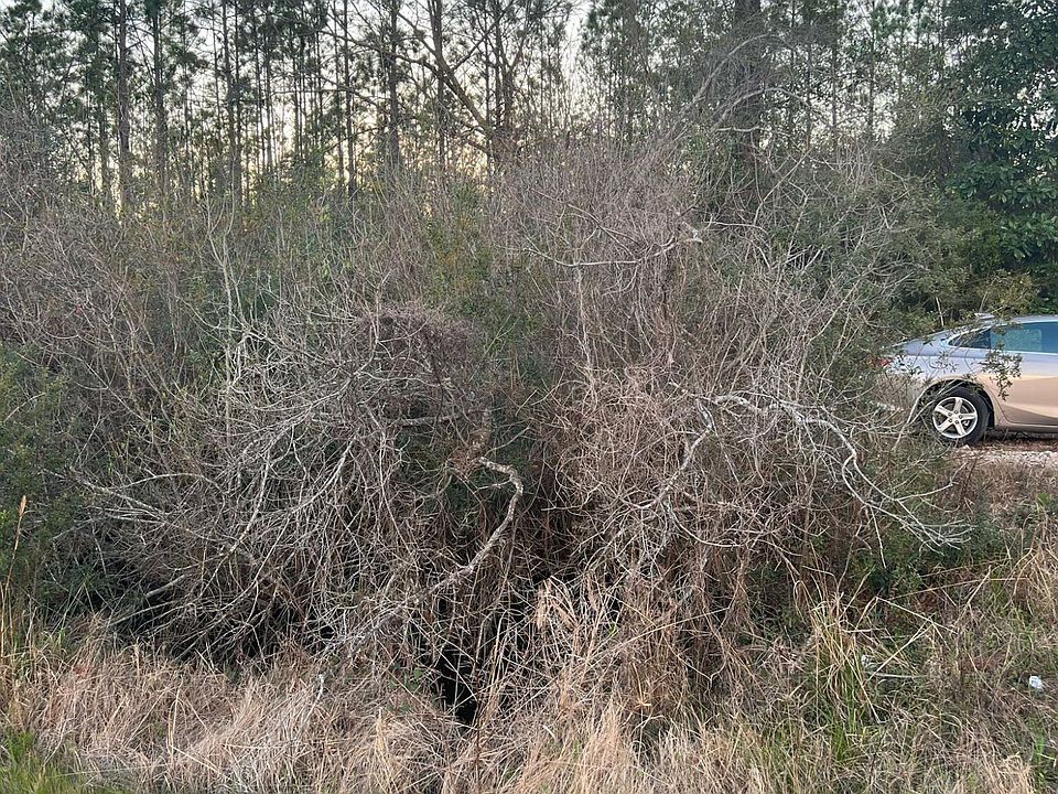 1st image of 21549 Us Highway 231